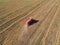 Aerial view on red harvester during crops on wheat field.