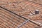 Aerial view of red tile roofs