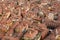 Aerial view of red tiled rooftops and ancient towers in historical center of Bologna