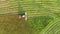 Aerial view of a red Tractor Mowing Green Grass For Hay Or Livestock Feed