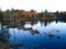 Aerial view of reflections of trees in the water