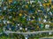 aerial view of residential area in San Carlos de Bariloche, Argentina.