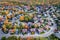 Aerial View of Residential Neighbourhood in Montreal During Autumn Season, Quebec, Canada