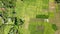 Aerial view of rice fields in Camiguin Island. Philippines.