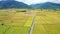 Aerial view of Rice paddy field and Cyclist traveler, Landscape of Chishang, Taitung, Taiwan.