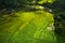 Aerial view of rice terrace in chiang mai northern of thailand