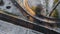 Aerial view of Riga elevated road junction and interchange overpass at winter sunset time