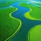 aerial view of a river delta with lush green vegetation and winding waterways