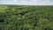 Aerial view: river and forest. Nature of Russia, beautiful landscape