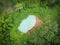 Aerial view river forest nature woodland area green tree, Top view river lagoon pond with blue water from above, Bird eye view