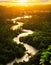 Aerial view of river running through the jungle