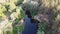 Aerial view of Riverbed Between Pine Forest. River near Tops of Green Trees