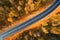 Aerial view of the road in autumn forest at sunset in Dolomites