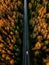 Aerial view of road in beautiful autumn forest in rural Finland