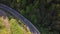 Aerial view of road in beautiful green forest at sunset in summer. Colorful landscape with roadway, pine trees, blurred