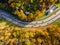 Aerial view of road bend in the autumn with falling golden trees around