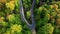 Aerial view of a road bend in a colorful forest