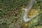 Aerial view on road in the forest. Highway throu the forest. View from a drone. Natural landscape in fall time from air. Travel im