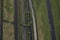 Aerial view of road leading through peat excavation meadow landscape in the netherlands