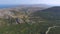 Aerial view of road in mountain forest