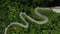 aerial view ROAD No.1081 of winding mountain road between Pua Ddistric, Nan Province, Thailand is highlignt that tourist like to