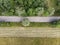 Aerial view of a road and a plowed field. Trees and vegetation seen from above. Organic farming