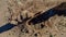 Aerial View Of Rock Formations In The American Southwest