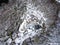 Aerial view rock with medieval castle on it near moselle river in Brodenbach winter with forest snow in the background