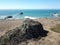 Aerial View of Rocky Coastline in Sonoma, California