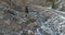 Aerial view of a Rocky Mountains river in winter scenery