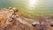 Aerial view rocky shoreline, sandstone cliff with dormant trees and large family tent at Grapevine Lake, Texas, USA