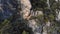 Aerial view of a rocky wall in the mountains covered with juniper. Footage of a rare endangered plant in the highlands