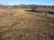 Aerial view of rows of apple trees in an orchard during winter season