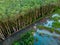 Aerial view of the rubber tree plantation