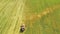 Aerial View Of Rural Landscape. Combine Harvester Truck Working In Field, Collects Seeds. Harvesting Of Wheat In Autumn