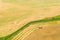 Aerial View Of Rural Landscape. Combine Harvester Working In Field, Collects Seeds. Harvesting Of Wheat In Late Summer