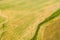 Aerial View Of Rural Landscape. Combine Harvester Working In Field, Collects Seeds. Harvesting Of Wheat In Late Summer