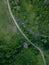 Aerial view of a rural road meandering through the green woods.