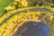 Aerial view of rural road with white car in yellow and orange autumn forest. Aerial road near the lake with moving car. Top view