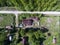 Aerial view at Russian summer cottage with house, garden, barns and sauna at summer, Russia