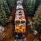 Aerial View of Rusty Train in Untamed Forest. Generative ai