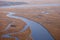 Aerial view of salt marsh