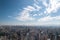 Aerial view of sao paulo.