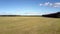 Aerial view scattered across field packaged hay by forest