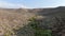 Aerial view of scenic green desert valley with wild horses in Mono County, USA