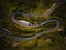 Aerial view of the scenic Grossglockner High Alpine Road on mountains in Austria