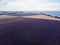 aerial view of scenic lavender field and mountains