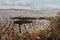 Aerial view of the scenic skyline of Athens and nearby mountains