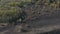 Aerial view scorched earth and tree trunks after a spring fire in forest. Black burnt field.