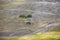 Aerial view of sea of sand inside Bromo Tengger Caldera